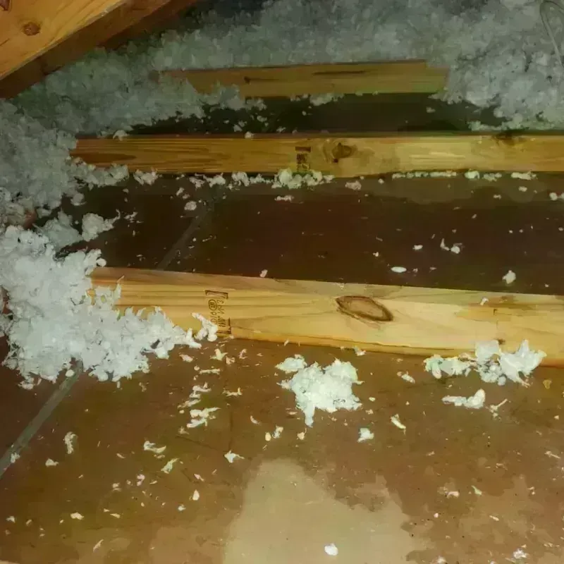 Attic Water Damage in Bedminster, PA